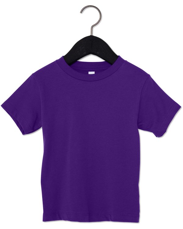 3001t_05_z TEAM PURPLE